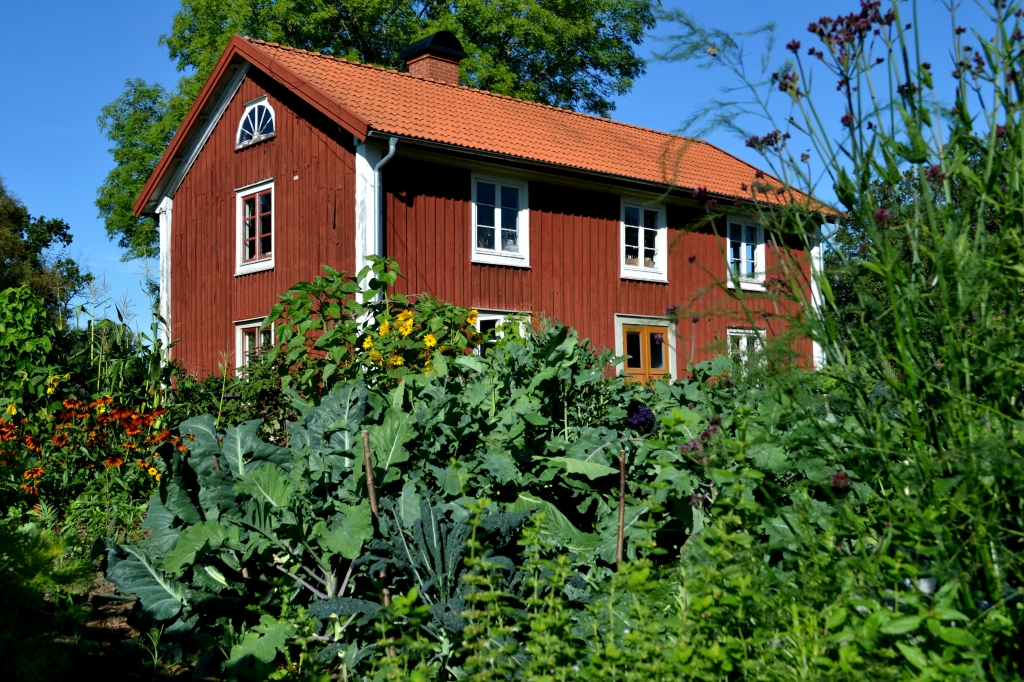 Skillnadens Trädgård, Bökebacken.