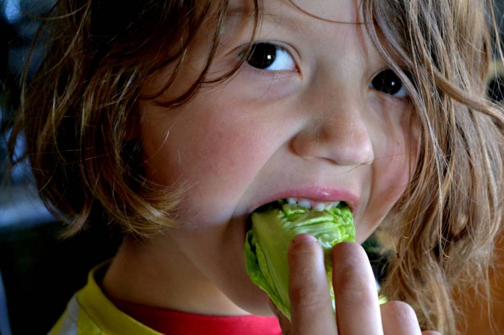 Barn äter sallat