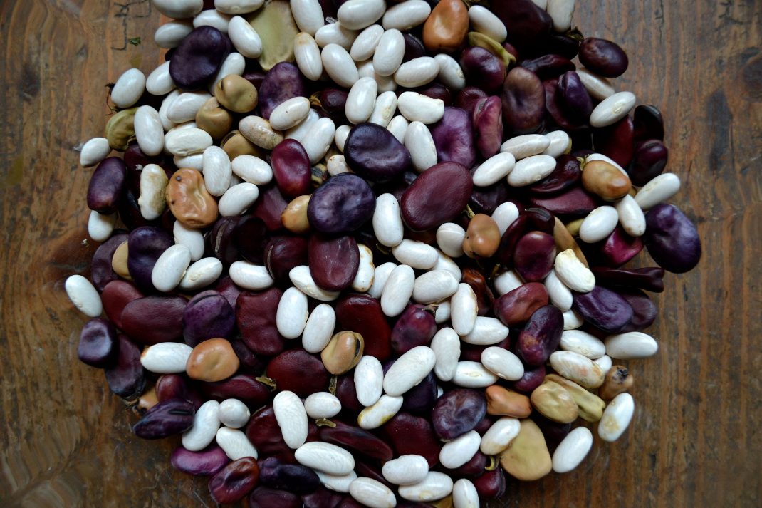 Blandade bönor i olika färger, mixed beans in a variety of colors.