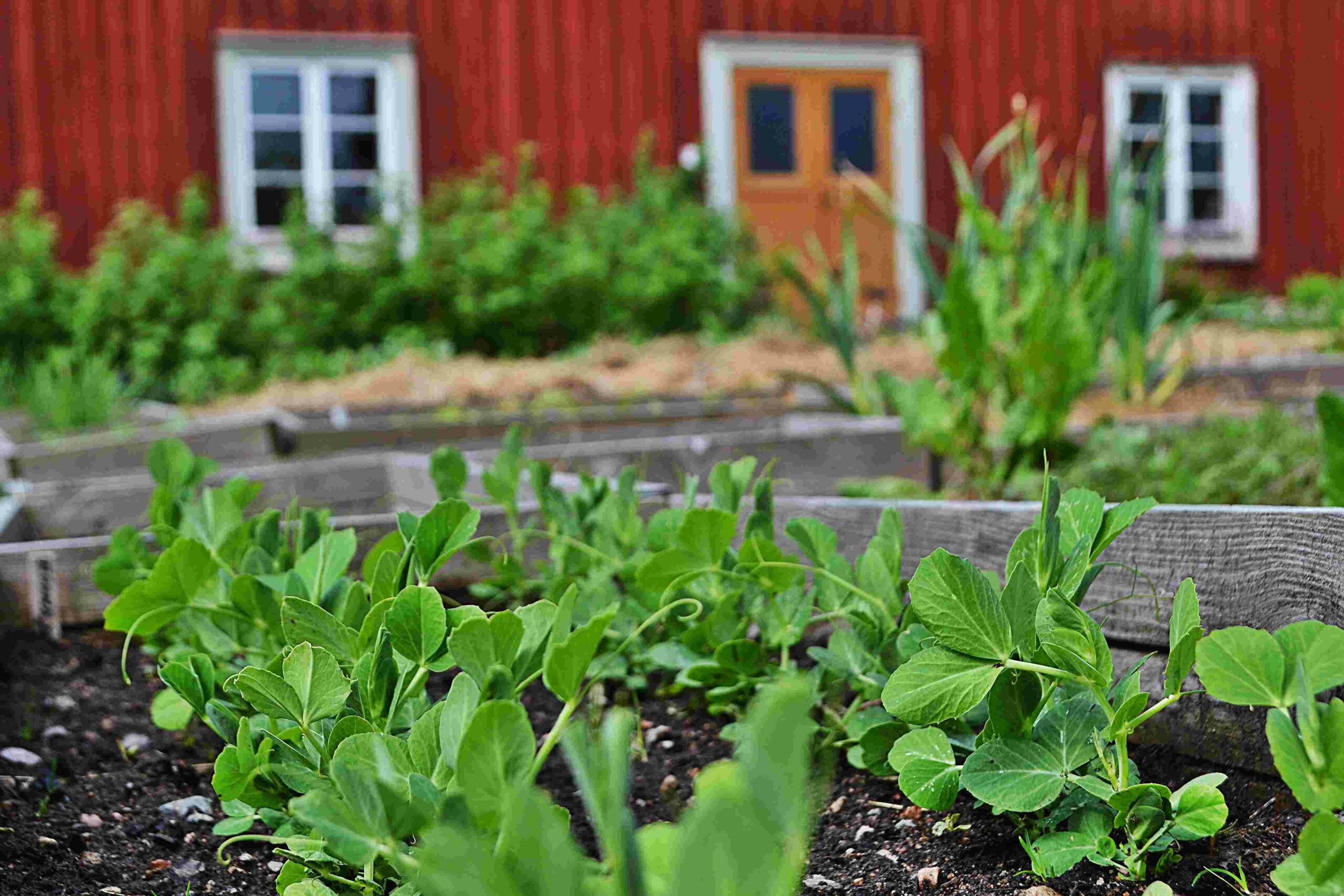 BDSM bekasi oyoqlarini yalash