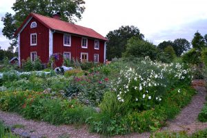 Skillnadens Trädgård en kväll i augusti.