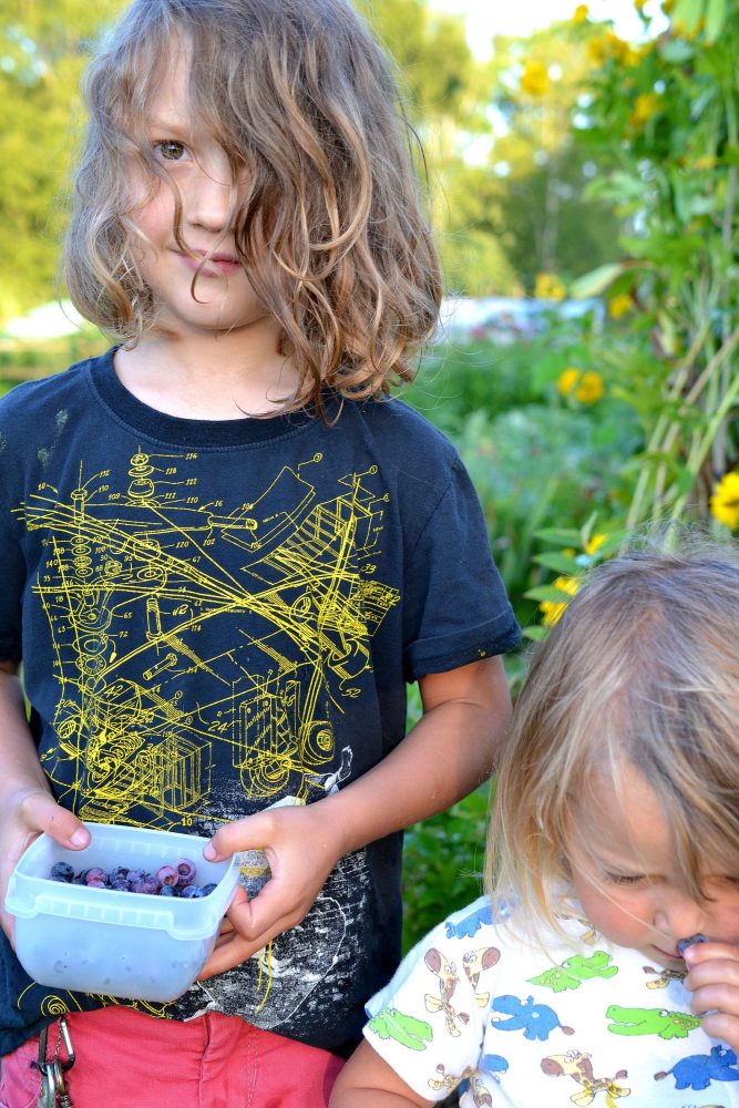 Barn med blåbär i små burkar i händerna. 