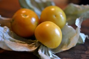 Tre kapkrusbär som ligger på ett bord med sina papperslika höljen omkring.