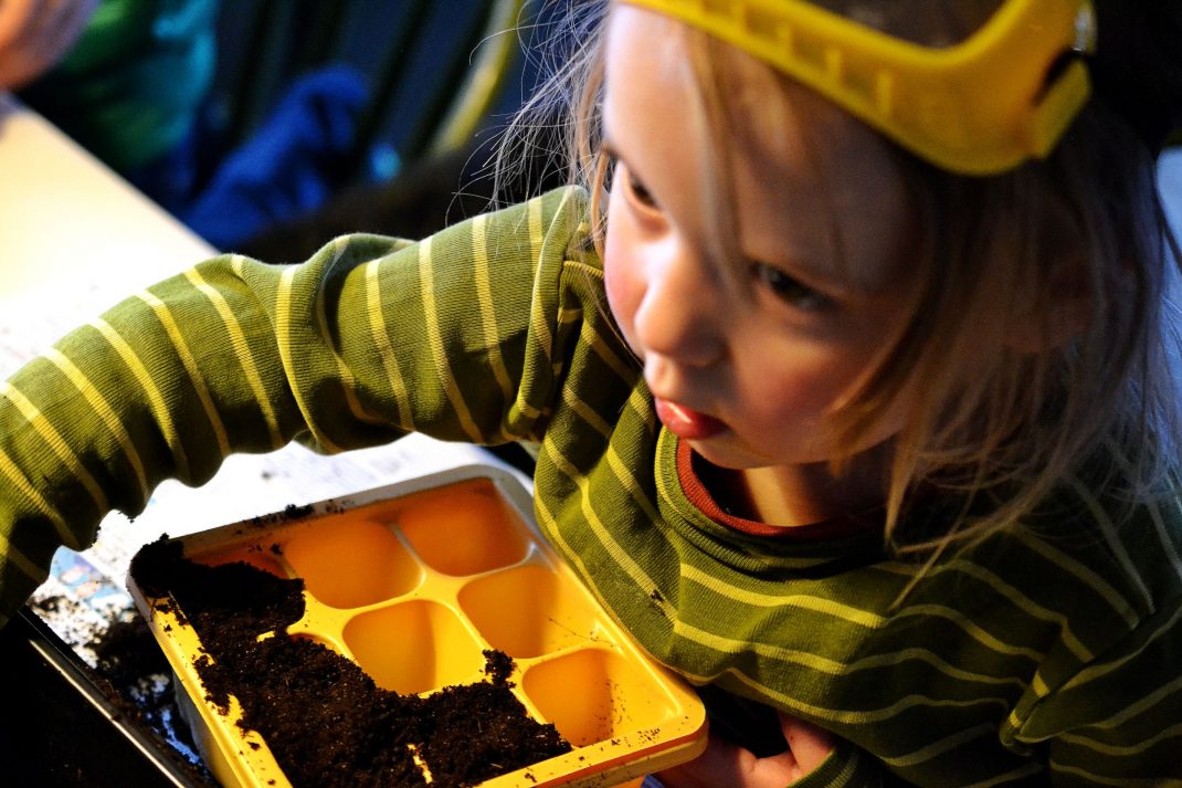 Ett litet barn fyller jord i ett litet tråg. Sow in January, a small child filling a trough with soil.