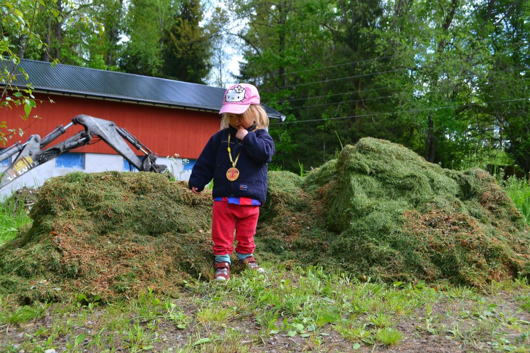 En jättestor gräshög med en liten tjej i rosa keps framför. 