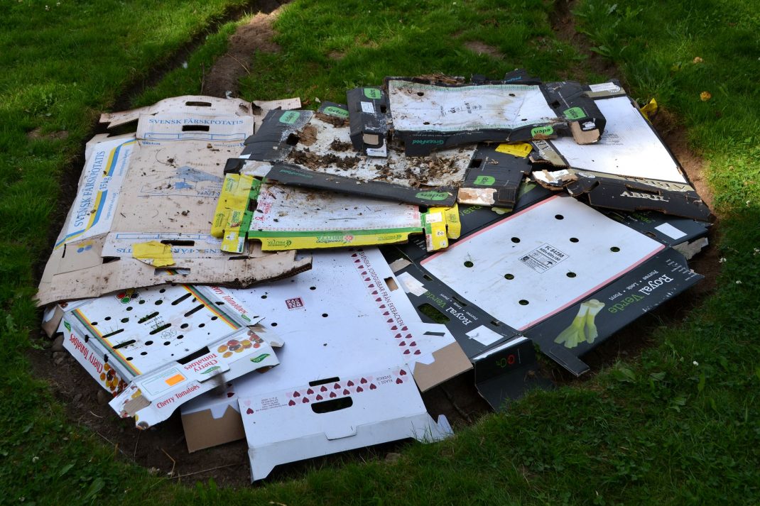 Kartong har lagts ut på gräsmattan inom det markerade området. No-dig gardening A layer of cardboard on the lawn.