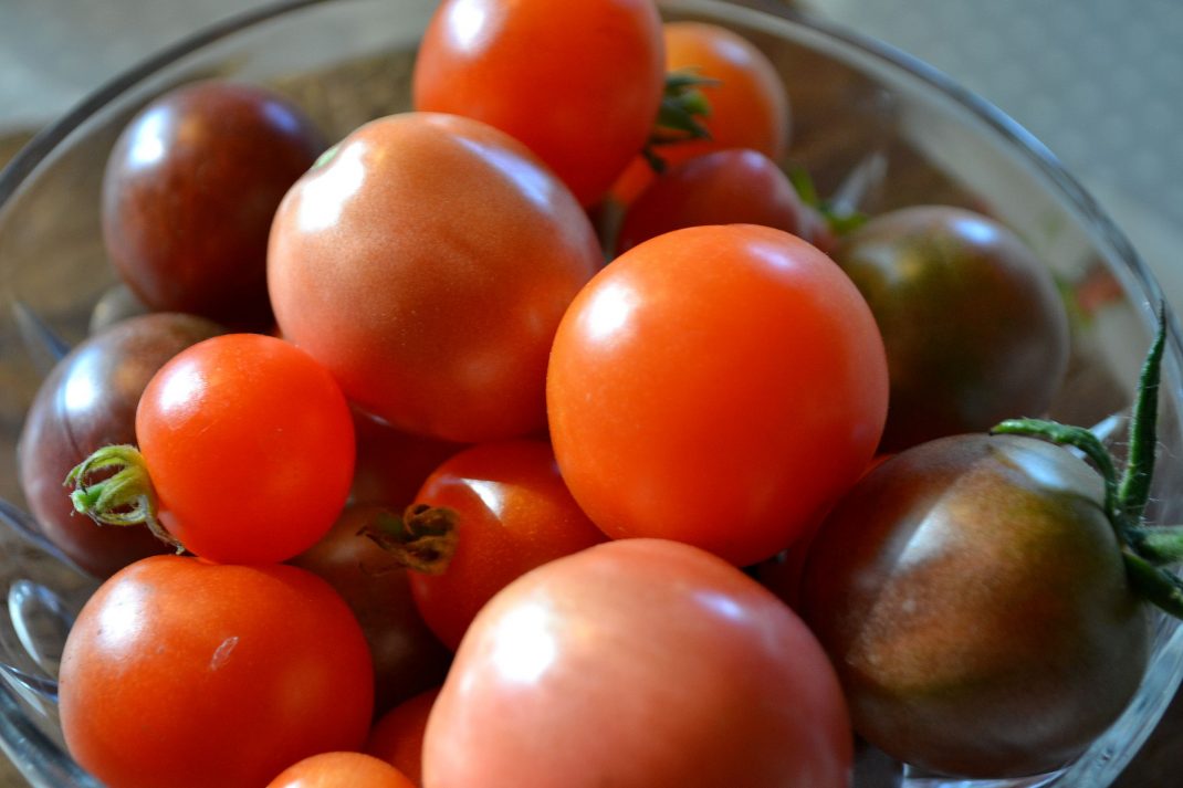 En skål med små tomater i olika röda nyanser. 