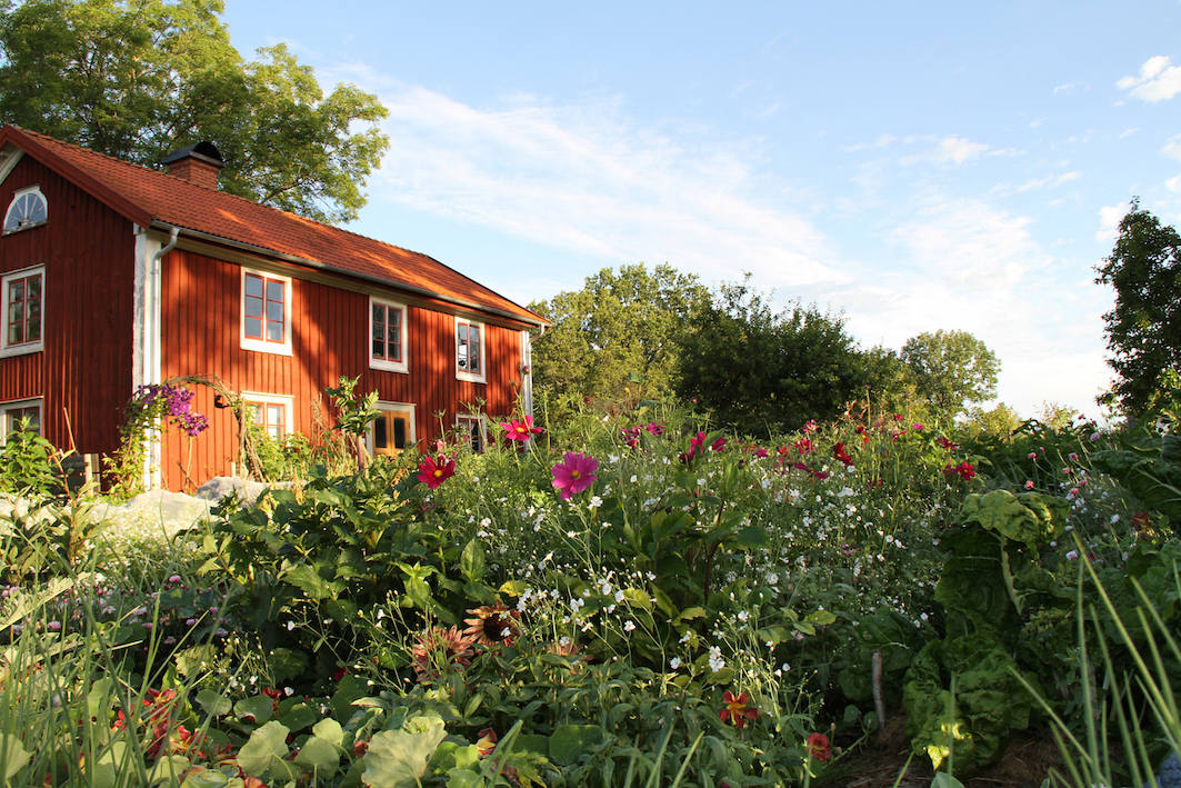 Skillnadens Trädgård i full sommarprakt. Foto: Maria Fors Östberg