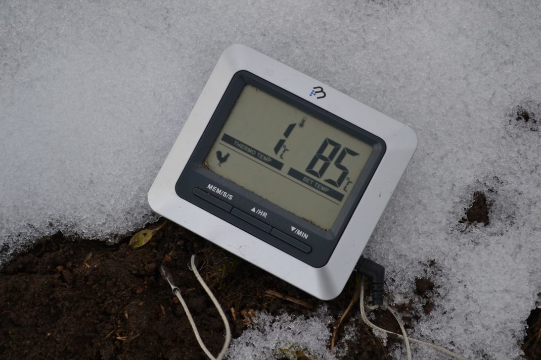 En termometer nerstucken i snötäckt odlingsbädd.