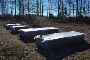 Pallkragar på en skolgård med skogsdunge och sjö i bakgrunden.