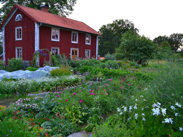 Skillnadens Trädgård i sommarskrud.