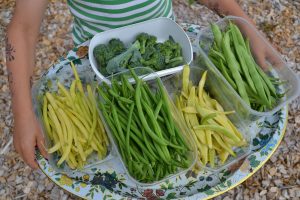 Olika bönor i små tråg på en bricka.