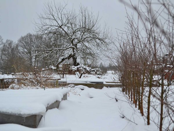 En köksträdgård i vinterskrud med mycket snö.