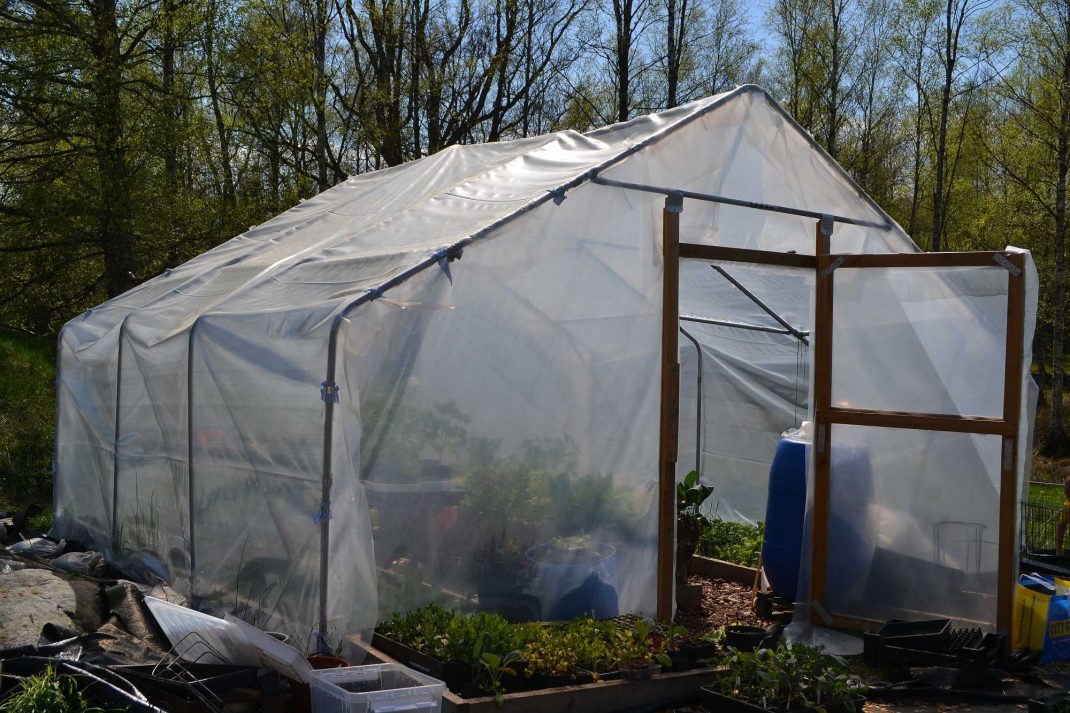 Ett stort tunnelväxthus i "hus"-form, med vit plast. Buying a polytunnel, a large polytunnel with white plastic. 