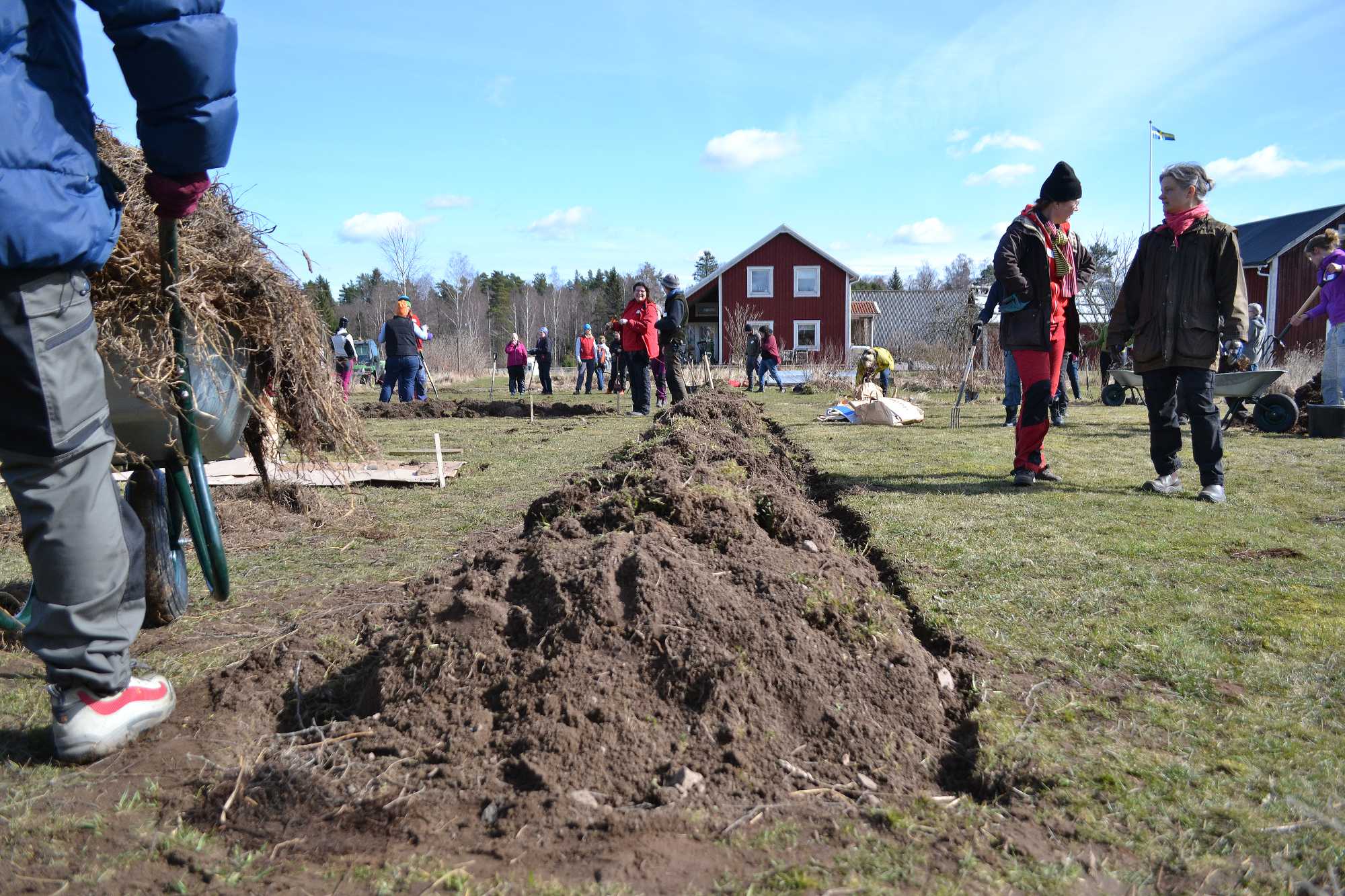 En vall med grästorvor i blivande köksträdgård.