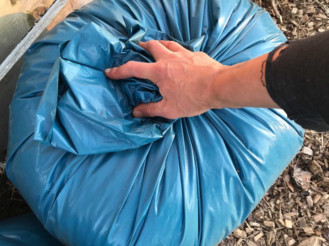 En blå ihopknuten sopsäck. Storing grass clippings, a blue bag. 