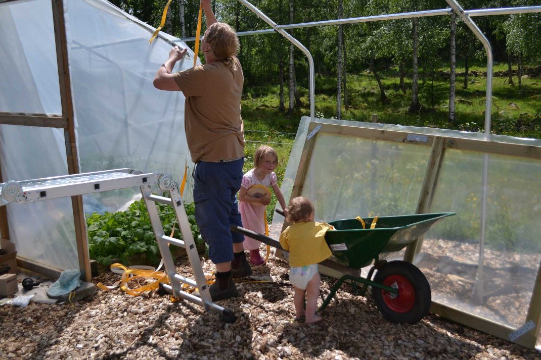 En man monterar växthus med små barn runt fötterna. 