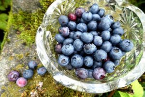 En skål med blåbär på en sten med mossa.