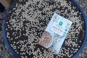 ärter i en stor kruka