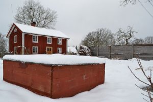 Skillnadens trädgård i vinterskrud