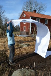 Sara står i blå tröja och blå väst och sveper en vit fiberduk över bar jord.