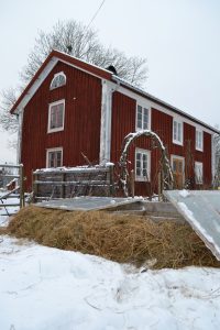 En stor bädd av halm och lock av glasrutor syns framför ett rött trähus. Det ligger snö på marken.
