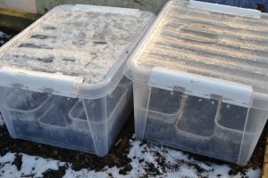 Stora, frusna plastbackar står utomhus på snö.