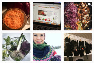 Ett kollage av sex bilder från Instagram.