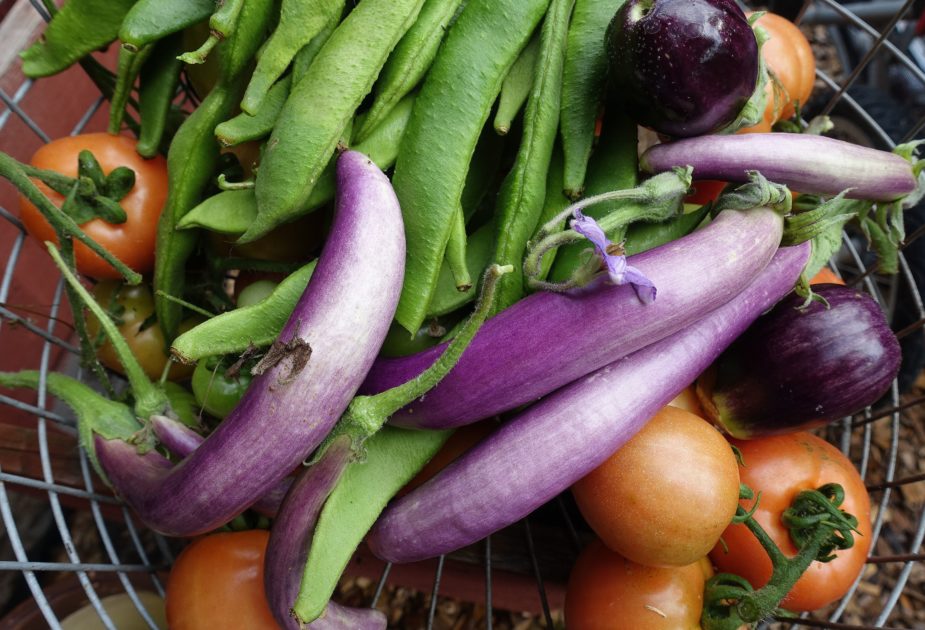 Sankt-Peterburg pikap porno