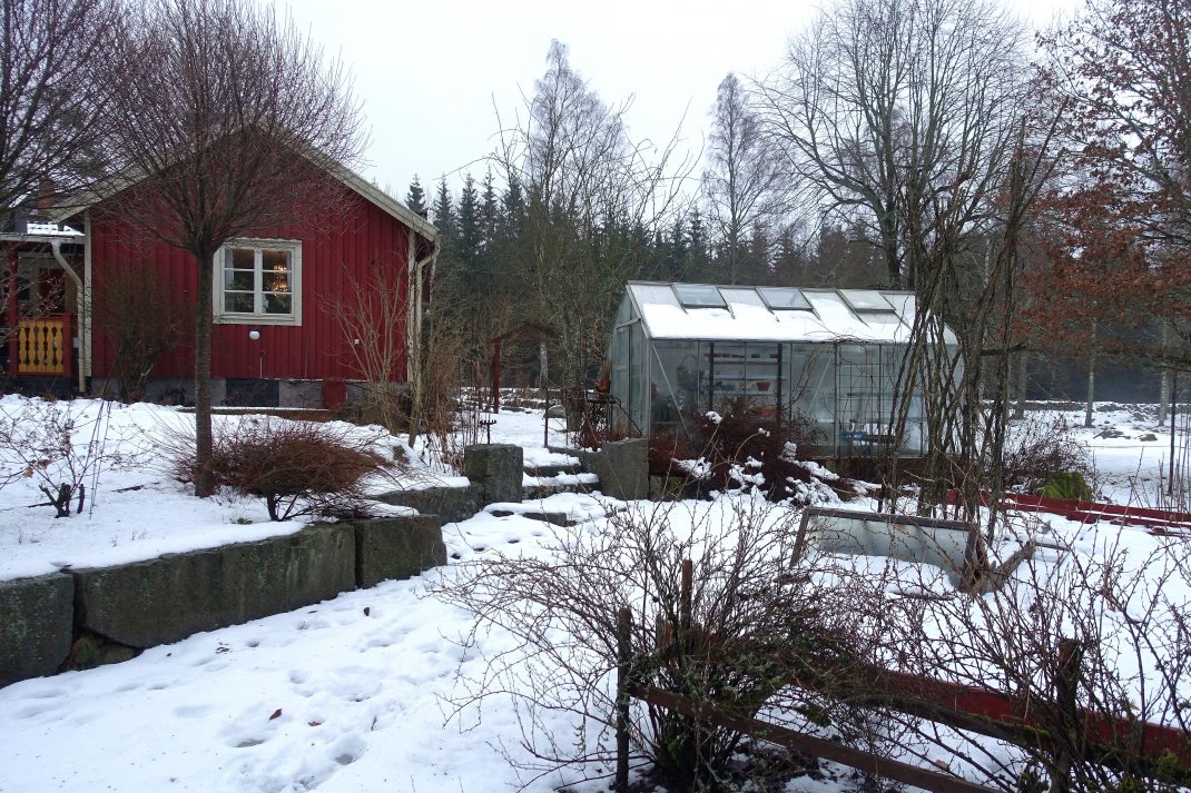 En vintrig trädgård med bostadshus och växthus.