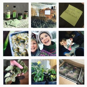 Ett kollage av nio olika bilder från Skillnadens Instagram