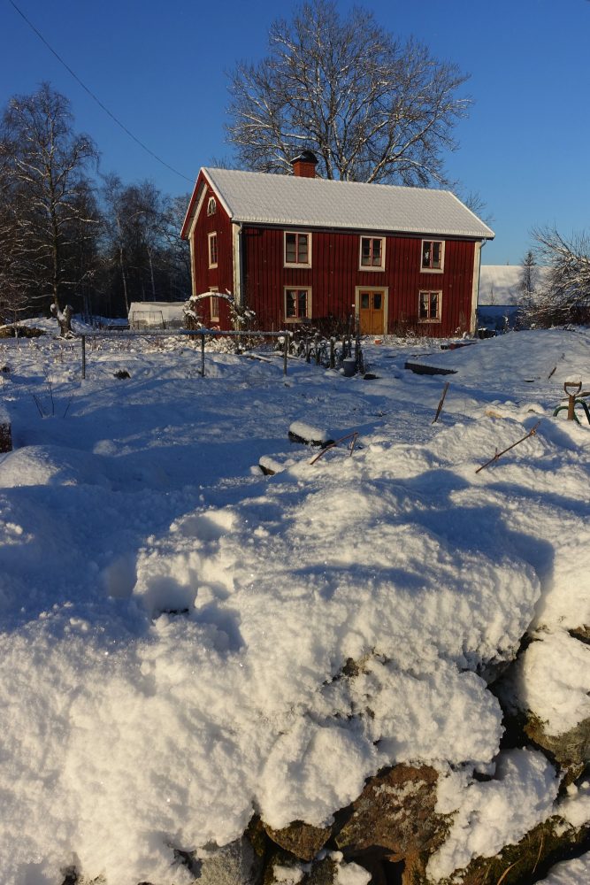 Vårt röda trähus omgivet av stenmur med snö på. 