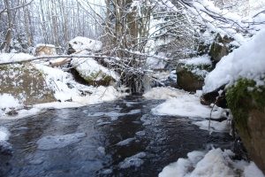 En bäck rinner genom skogen, stora stenar med snö på längs sidorna.