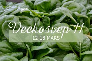 Texten Vecksvep 11 12-18 mars.