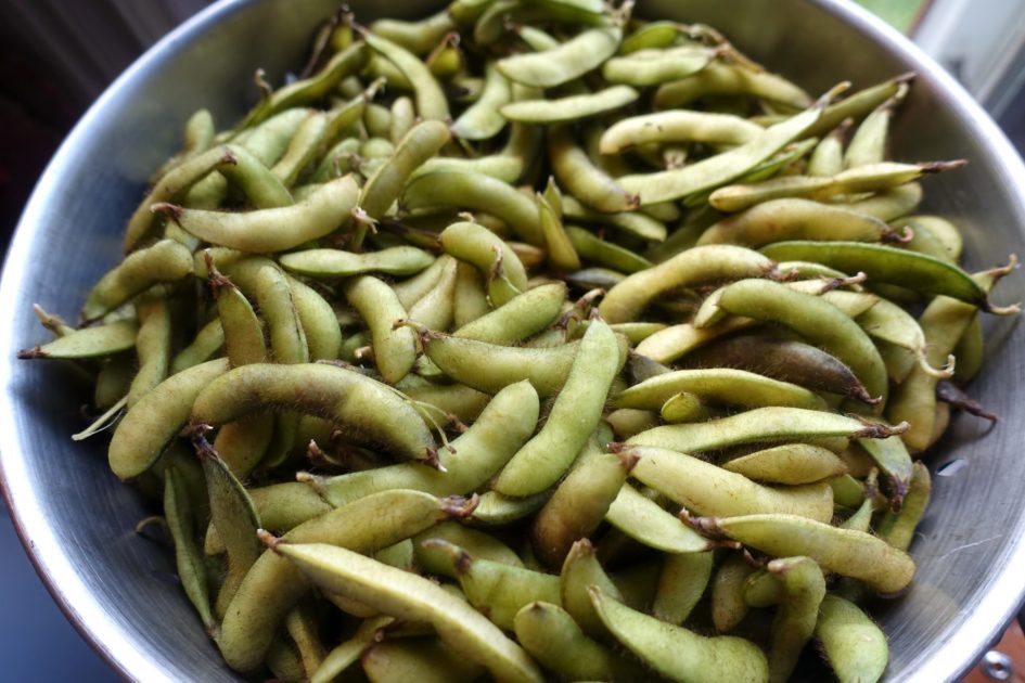 odla-egna-edamame-sojab-nor-sara-b-ckmo