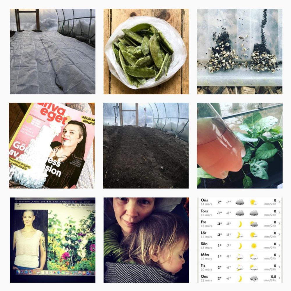 Ett kollage av nio bilder från Skillnadens Instagram-konot.