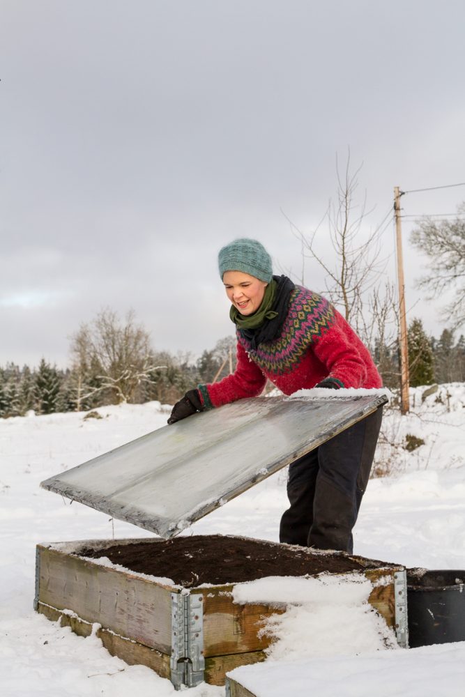 Sara lägger ett lock på en pallkrage i snöfylld trädgård. 