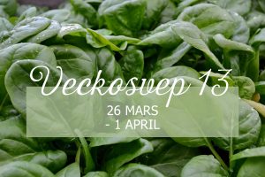 Veckosvep 13