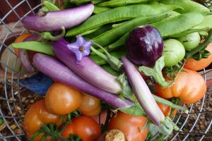 I en trådkorg ligger flera auberginer ovanpå gröna bönor och tomater.