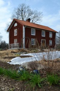 Gräslöken är det enda gröna framför köksträdgården och huset i Skillnadens trädgård.