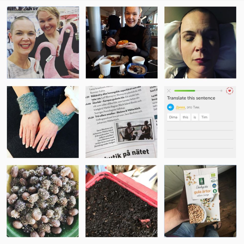 Ett collage av nio bilder från Skillnadens Instagram.