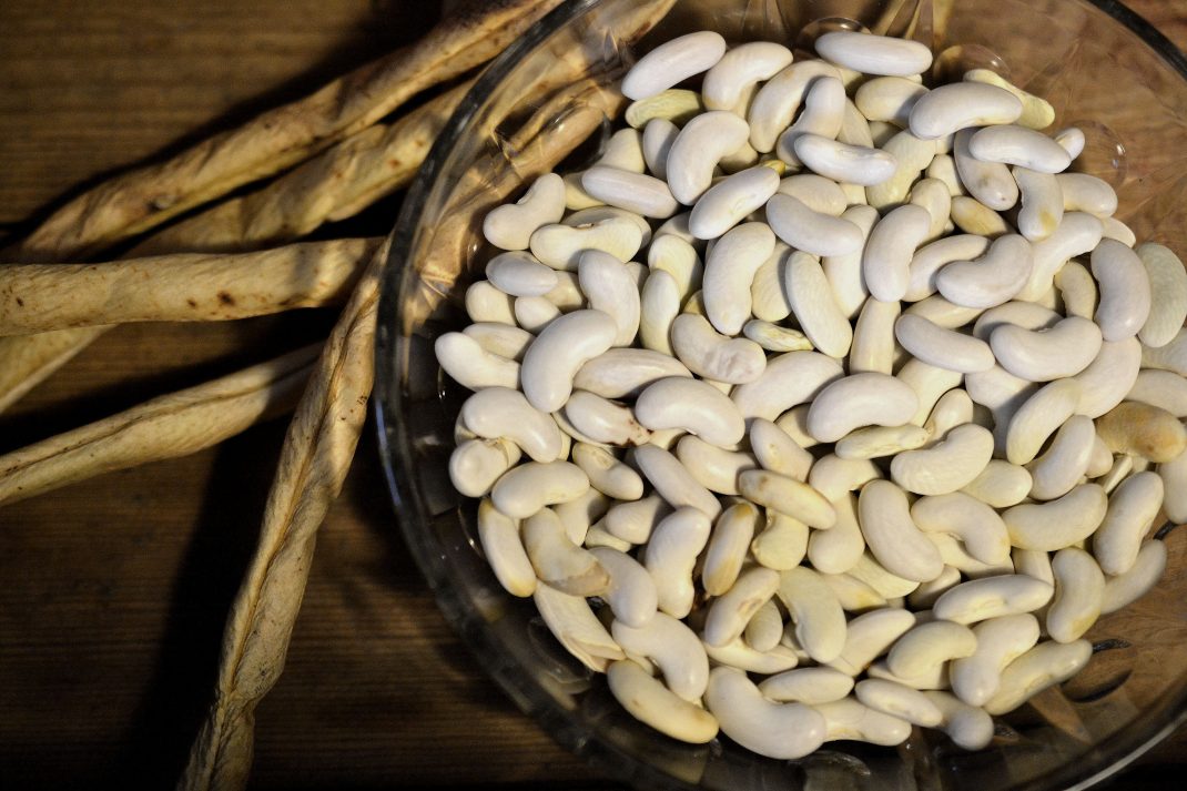 En skål med vita torkade bönor och baljor som ligger bredvid, a bowl with white dried beans and pods on the side.