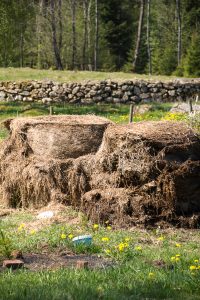 Två stora balar av ensilage står i Saras trädgård, redo att plocka material ifrån.