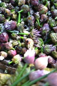 Små, lilagrå blommor från gräslök har stekts glansiga.