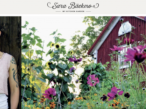 Picture of the header of my blog, a photo of me and a photo of my red house in a flowering garden.