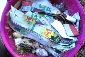 I en lila hink syns bokashi-komposten efter att den varit försedd med lock i två veckor. Täckt med tidningspapper och med lite vitt ludd.