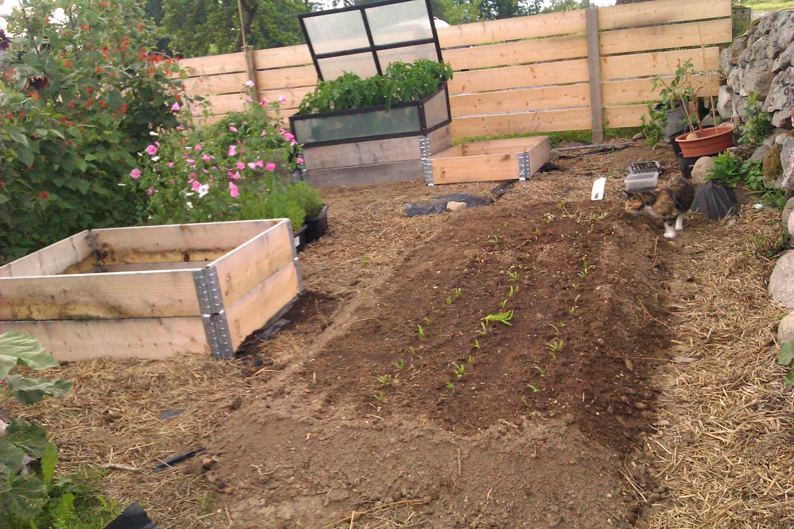 How to create deep raised beds – Sara's Kitchen Garden