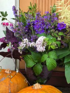 En färgglad blomsterbukett bredvid gula pumpor.