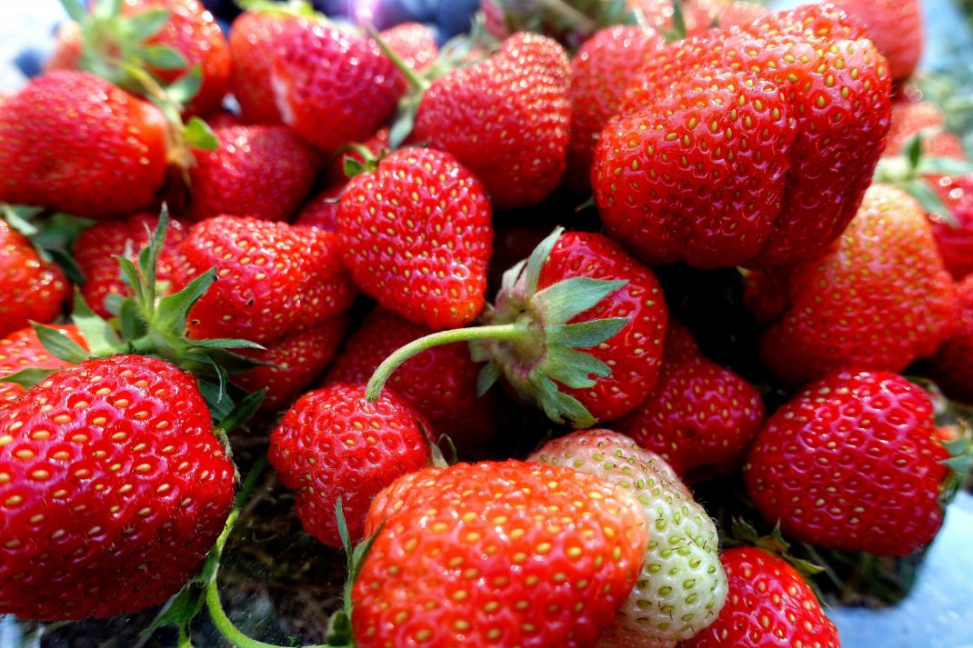 Närbild på läckra röda jordgubbar på ett fat. 