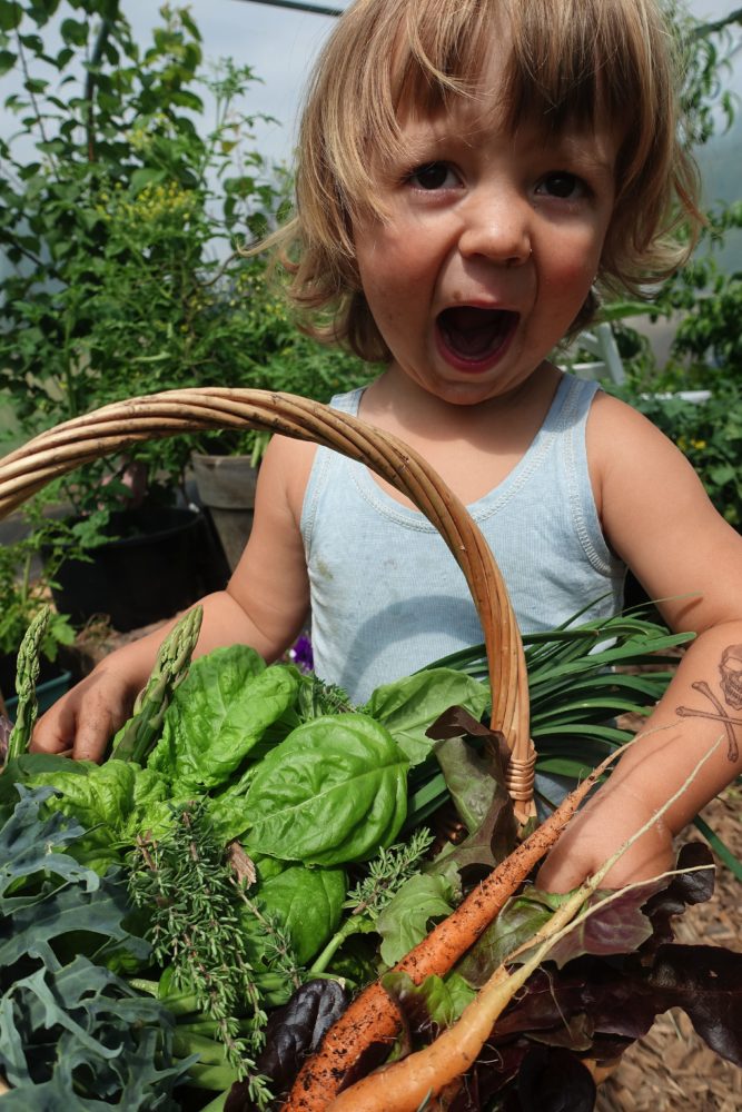 Ett litet barn bär på en korg med grönsaker. 